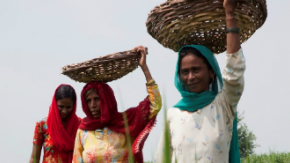 Women in shawls carrying baskets on their heads